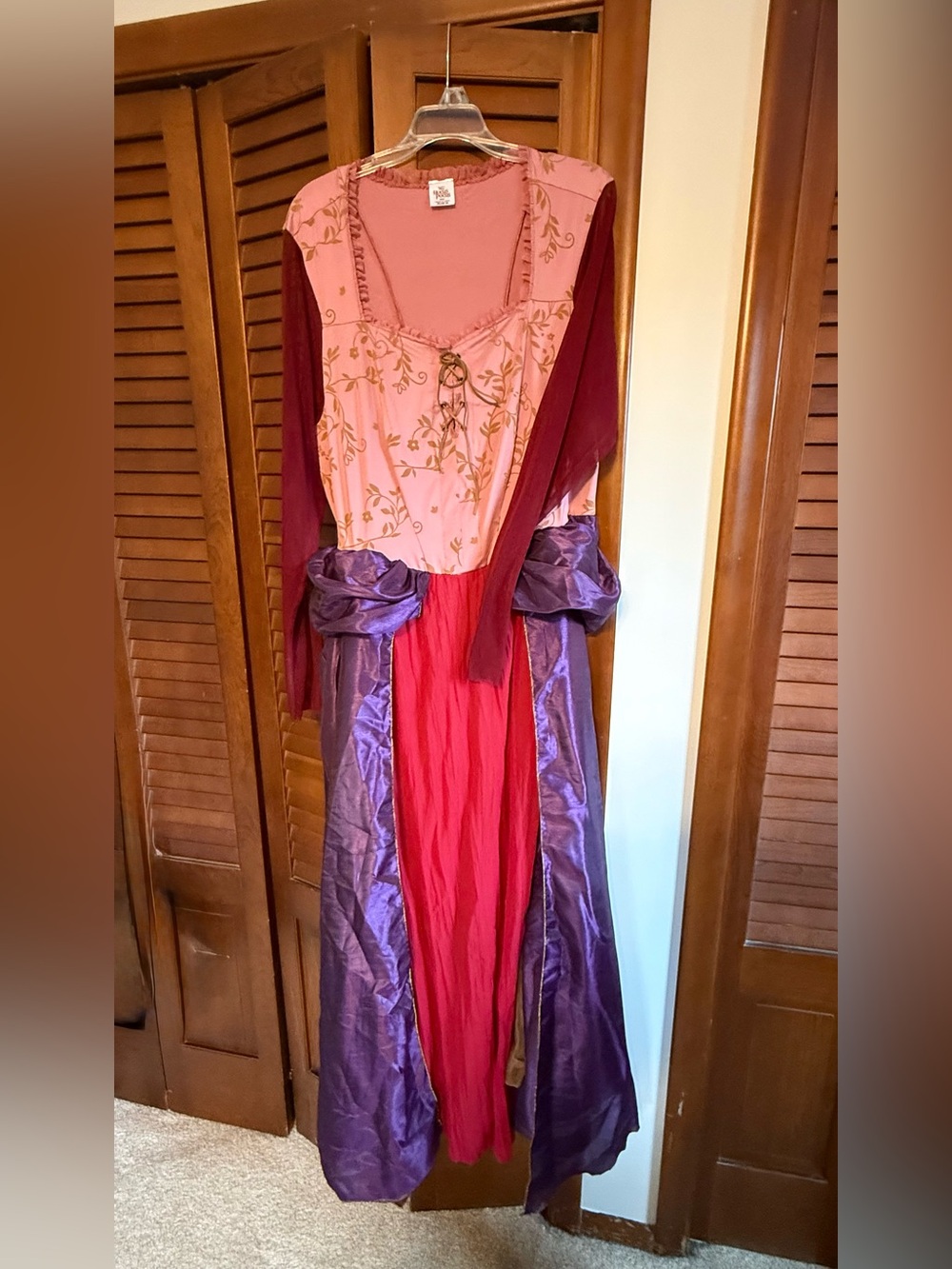 Hocus Pocus Plus Size Sara Sanderson Costume